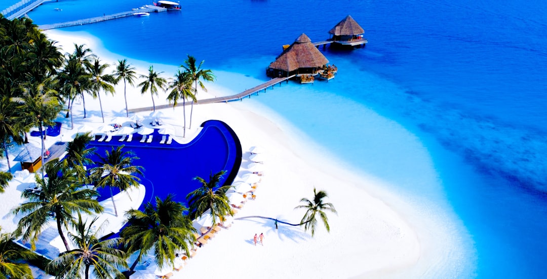 The Insider’s Guide to Booking Hotel Deals: Best Months for Popular Tourist Destinations