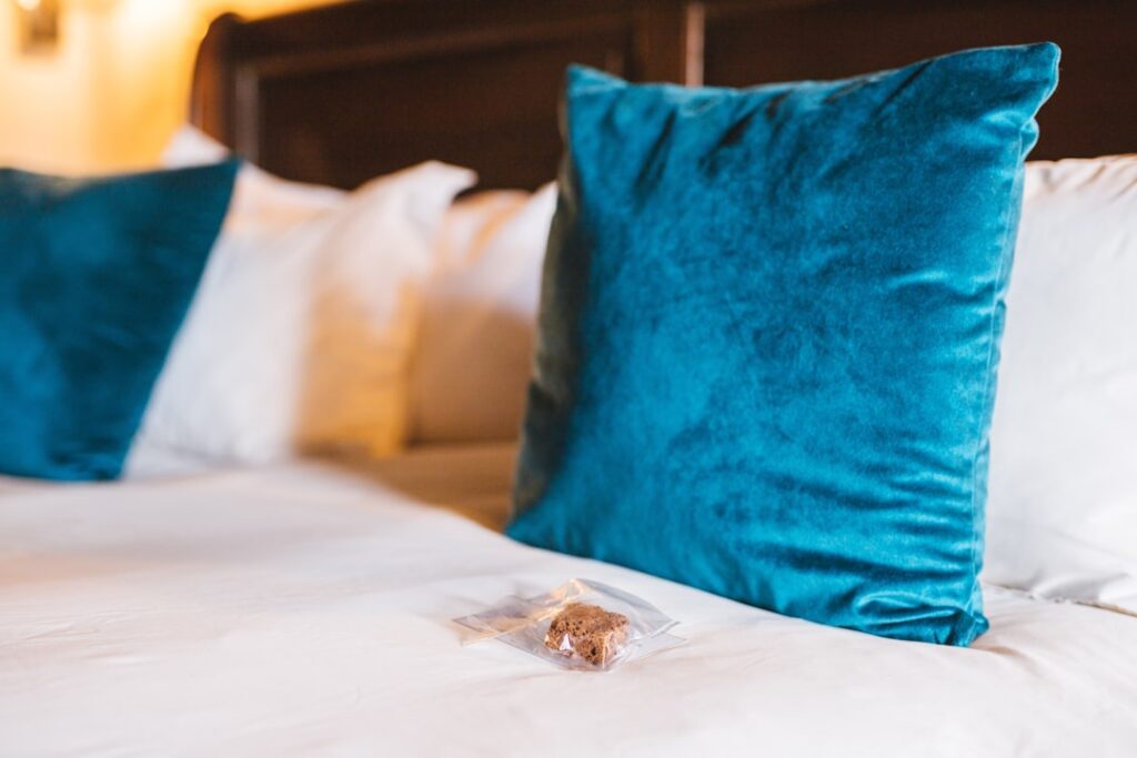 Essential Questions to Ask Before Booking