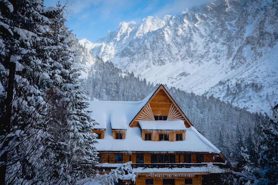 When to Book Hotels for Peak Travel Seasons: The Sophisticated Traveler’s Guide to Perfect Timing