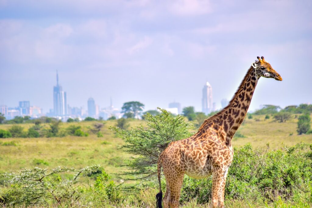 5. Nairobi Tented Camp: Urban Safari Experience