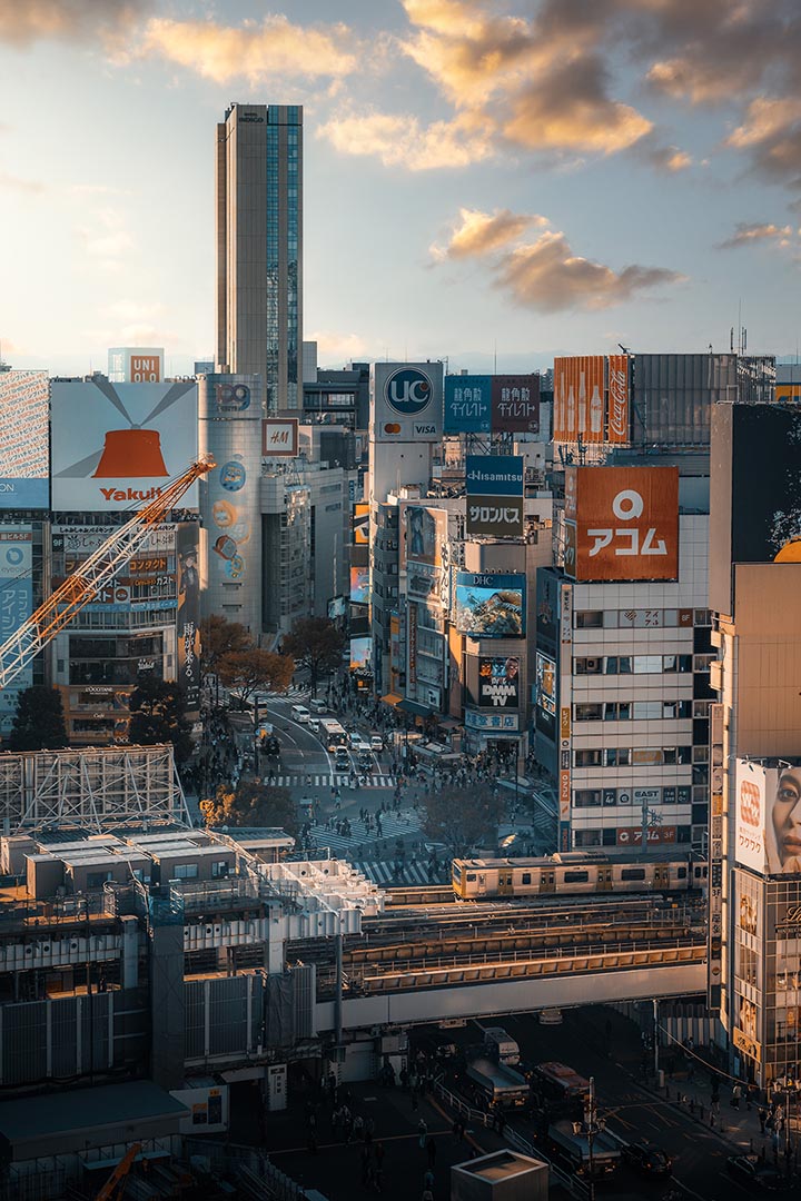 Best Things to Do in Shibuya, Tokyo: The Ultimate Guide