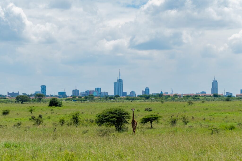 Safari Luxury in the City
