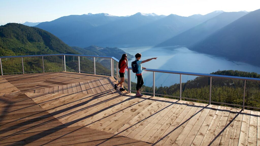 Sky Viewing Platforms Above the Crossing